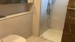 Wallich Street (D2), Condominium #499408791